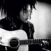 Celebrity-Image-Bob-Marley---Guitar-72601